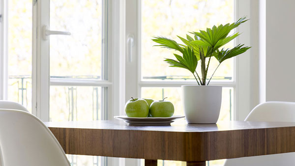 window, Hamburg | Bau- und Möbelschreinerei Gebr. Flüs, Radevormwald